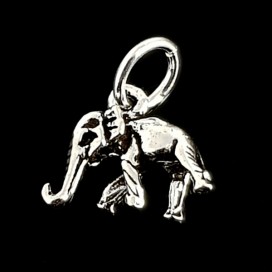 Elefante (plata)