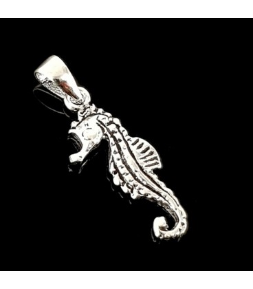 Seahorse. Silver pendant with chain