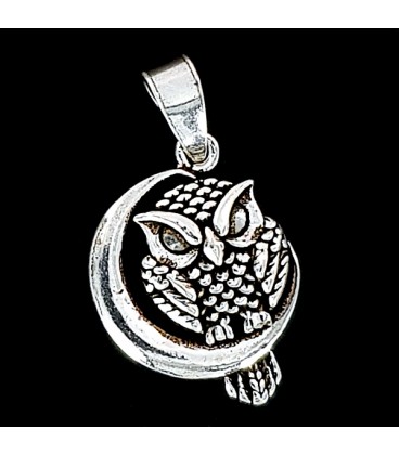Owl. Symbol of Wisdom