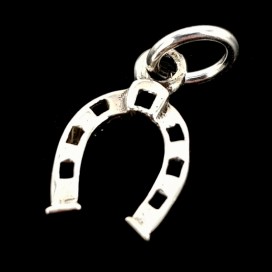 Lucky Horseshoe. Silver pendant