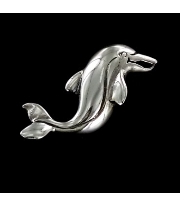  Delfin colgante de plata