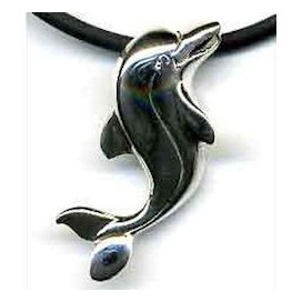  Delfin colgante de plata