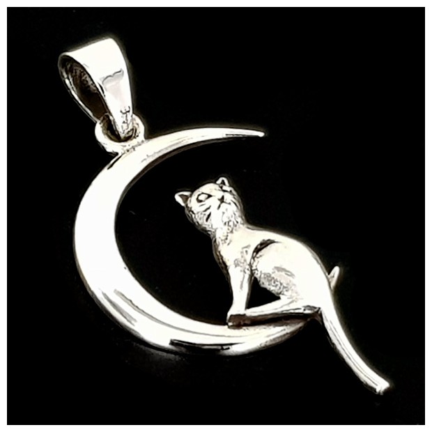 Cat in Moon. Silver pendant